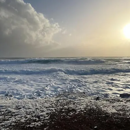 Apartament Gardens Elite *